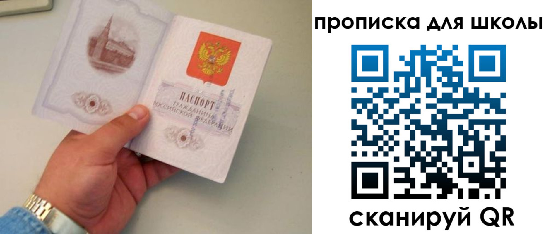временная регистрация поиск в Ростове